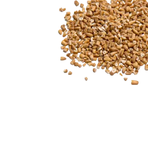 Organic Steel Cut Irish Oats