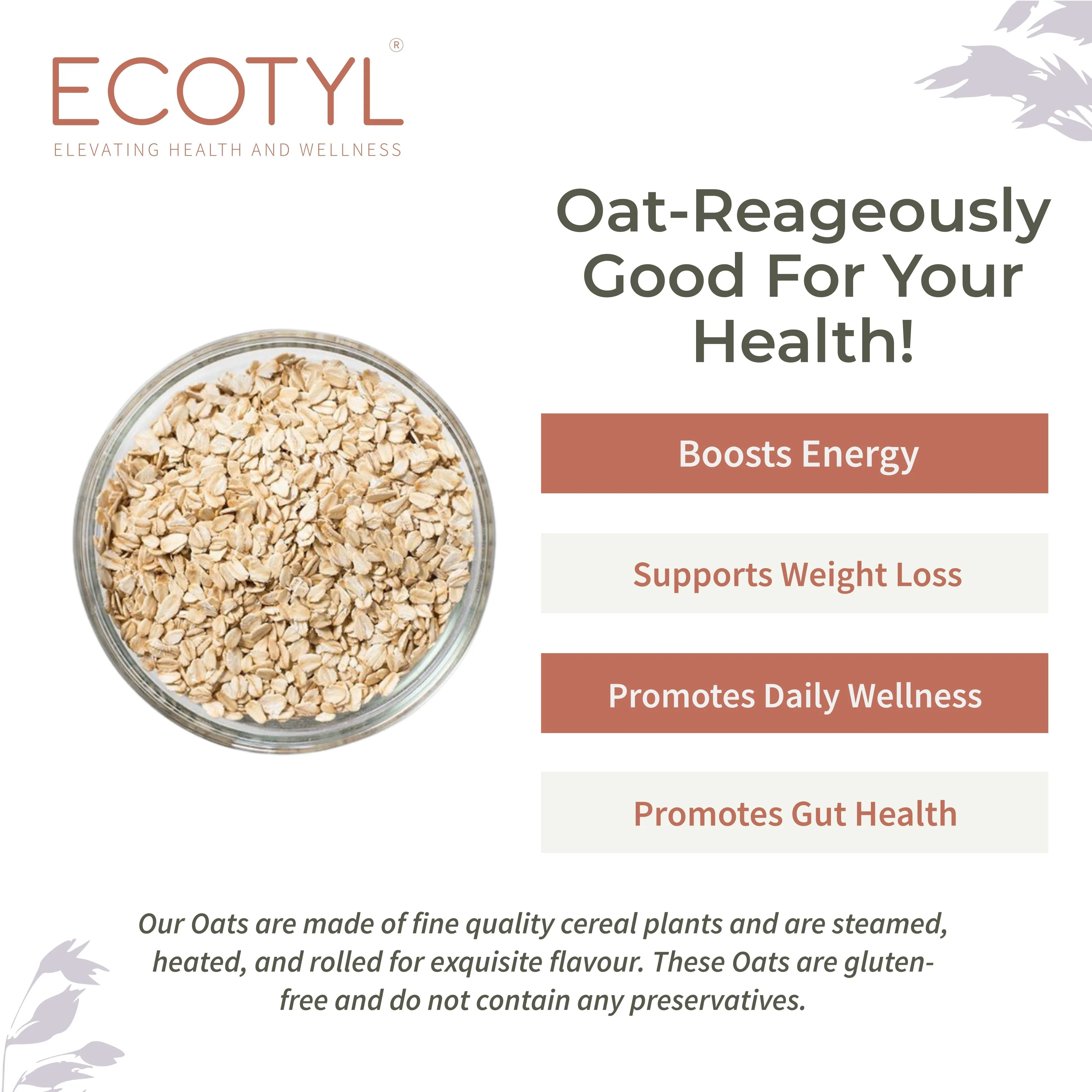 Rolled Oats Gluten Free Breakfast Cereal
